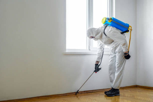 Reliable Garrett, IN Pest Control Solutions