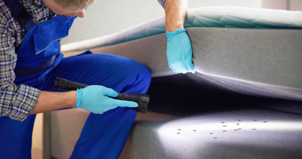 Best Mosquito Control Services  in Garrett, IN