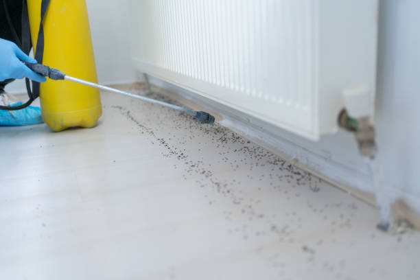 Best Affordable Pest Control Services  in Garrett, IN