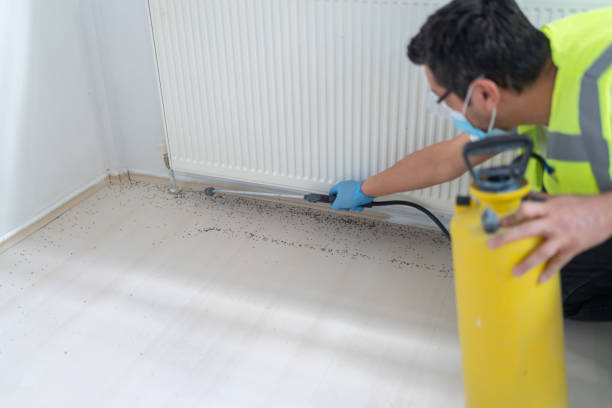 Best Ant Control Services  in Garrett, IN