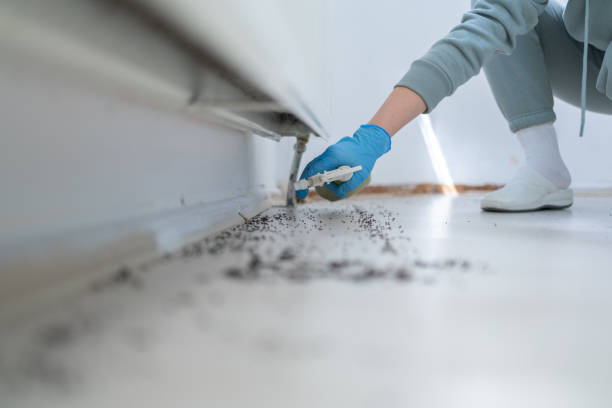 Best Commercial Pest Control Services  in Garrett, IN